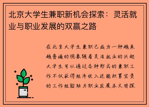 北京大学生兼职新机会探索：灵活就业与职业发展的双赢之路