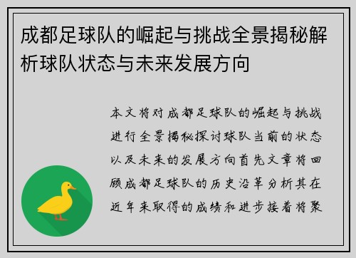 成都足球队的崛起与挑战全景揭秘解析球队状态与未来发展方向