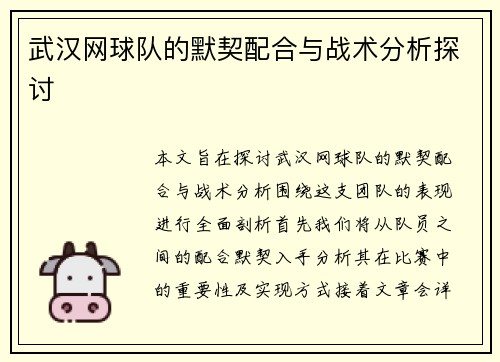 武汉网球队的默契配合与战术分析探讨